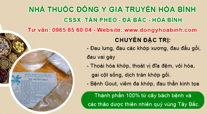 Thuốc Nam chữa bệnh xương khớp, viêm khớp hiệu quả