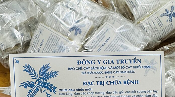 Thuốc Nam chữa bệnh xương khớp, viêm khớp hiệu quả